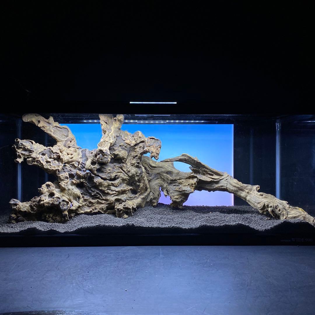 MJW-6434 「特大」ジンジャーウッド　90cm水槽用　天然流木2本セット