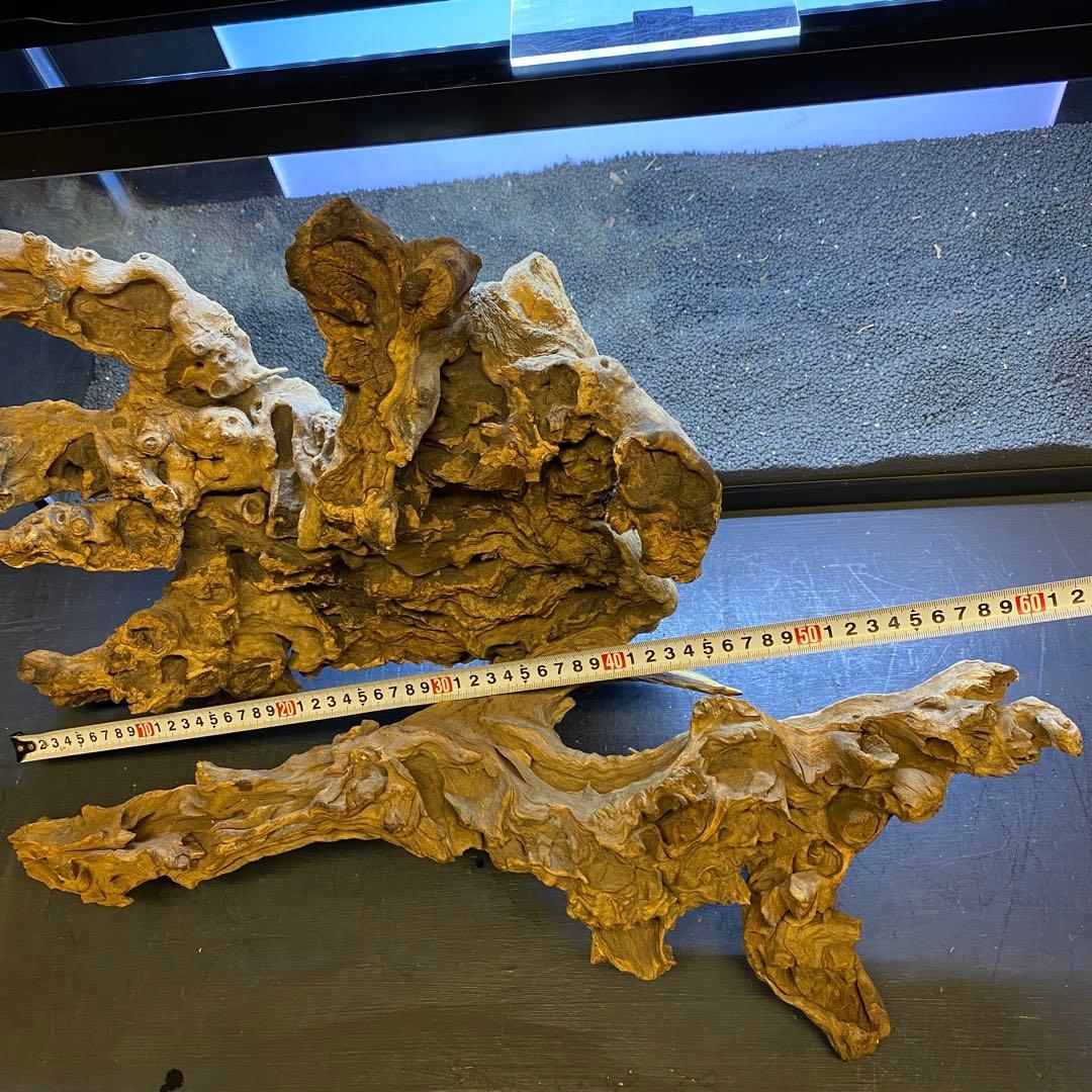 MJW-6434 「特大」ジンジャーウッド　90cm水槽用　天然流木2本セット