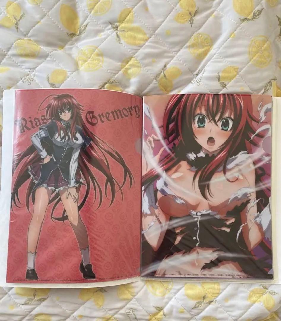 ハイスクール　クリアファイル　グッズ　ハイスクールdd ハイスクールd×d