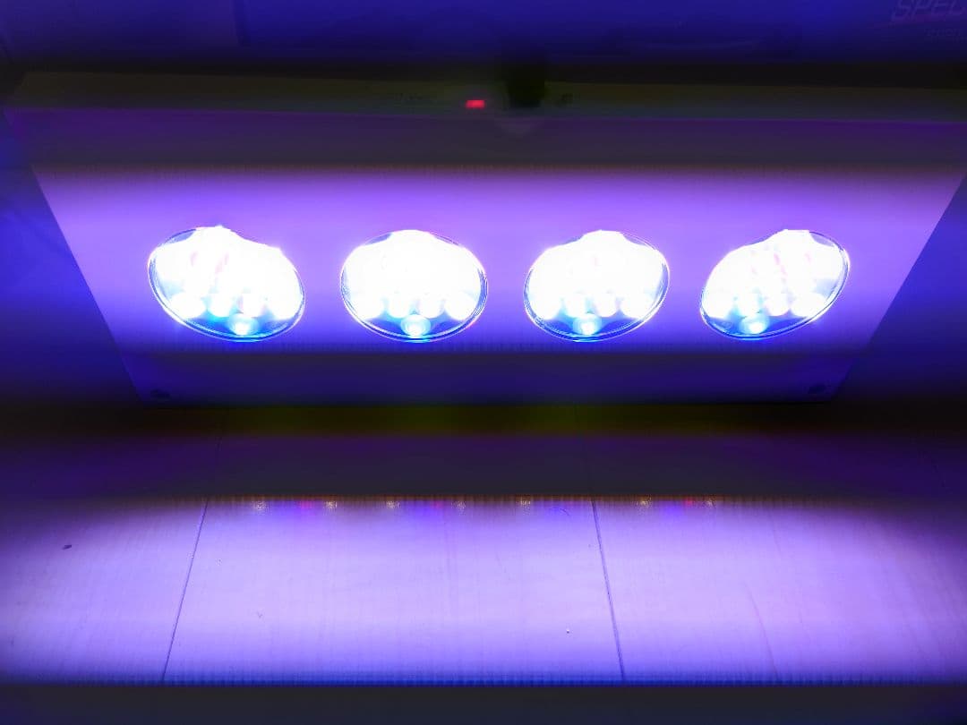 HYDRA FIFTY TWO LEDライト本体　ハイドラ52