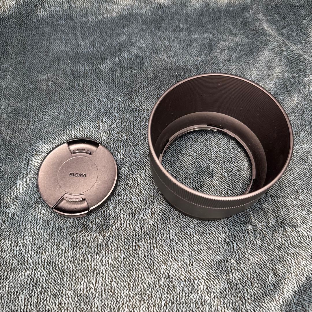 SIGMA 100-400mm F5-6.3 DG OS HSM ズームレンズ