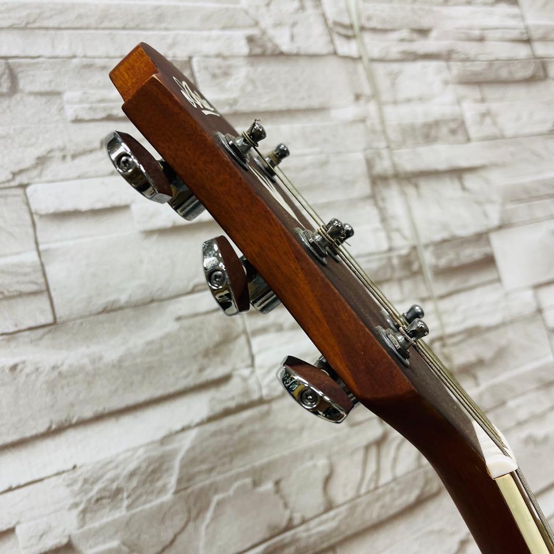 Aria アリア エレアコ AMB-35 GRS グリーンシェイド