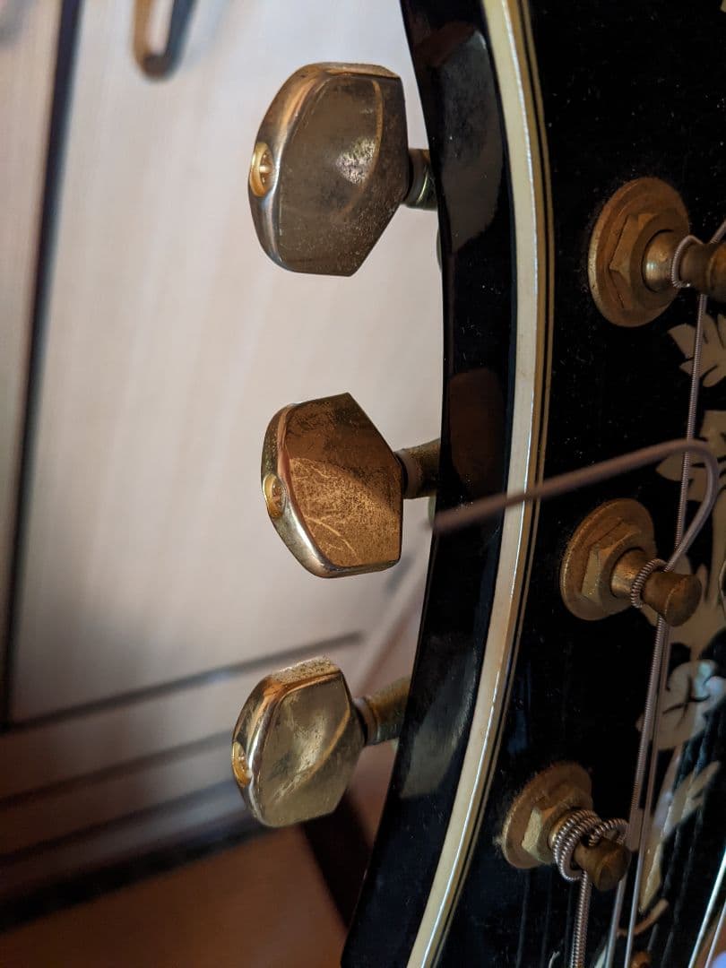 Epiphone / Emperor VC / Regent (韓国ピアレス製)