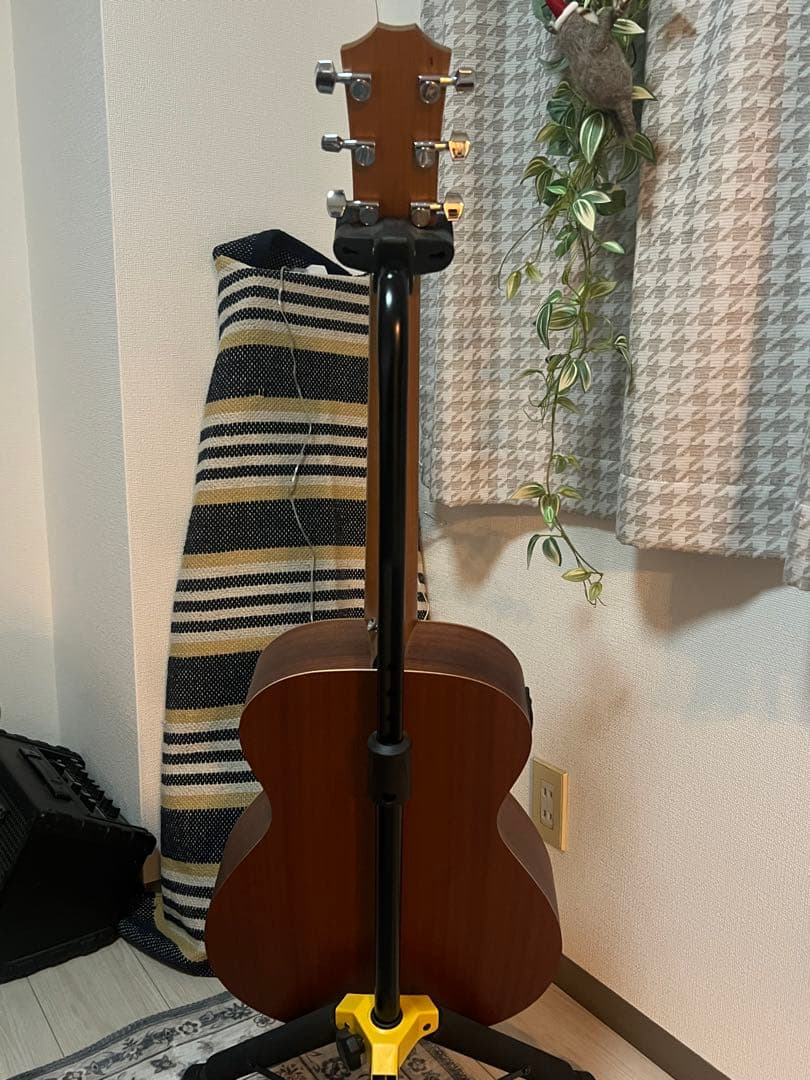 最終値段★Taylor Academy12e 24年購入 保証書あり ほぼ未使用