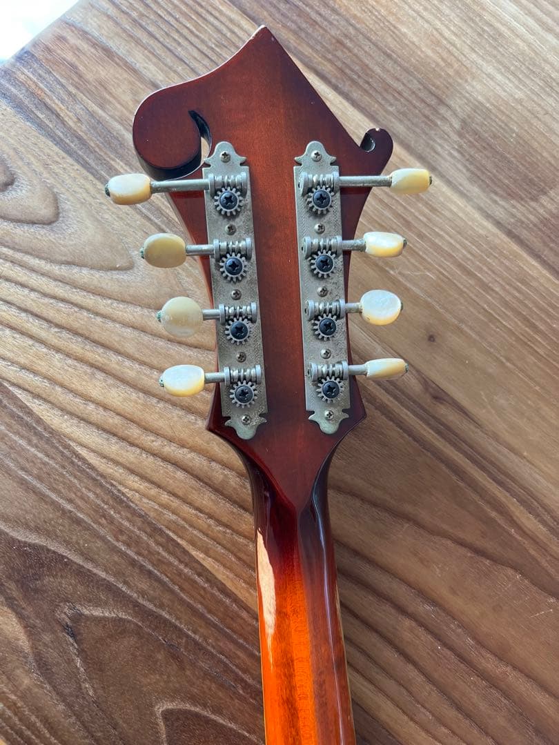 Blue Bell F-15 フラットマンドリン （富士弦）フジゲン　ビンテージ