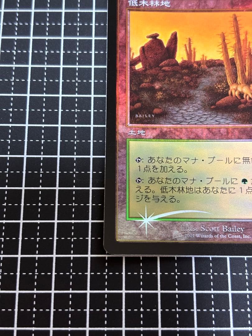 【美品】MTG 低木林地 7版 日本語 ホイル Foil マジックザギャザリング
