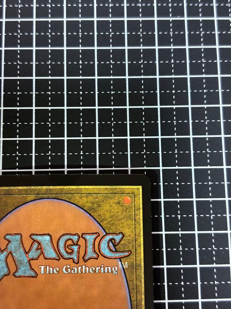 【美品】MTG 低木林地 7版 日本語 ホイル Foil マジックザギャザリング