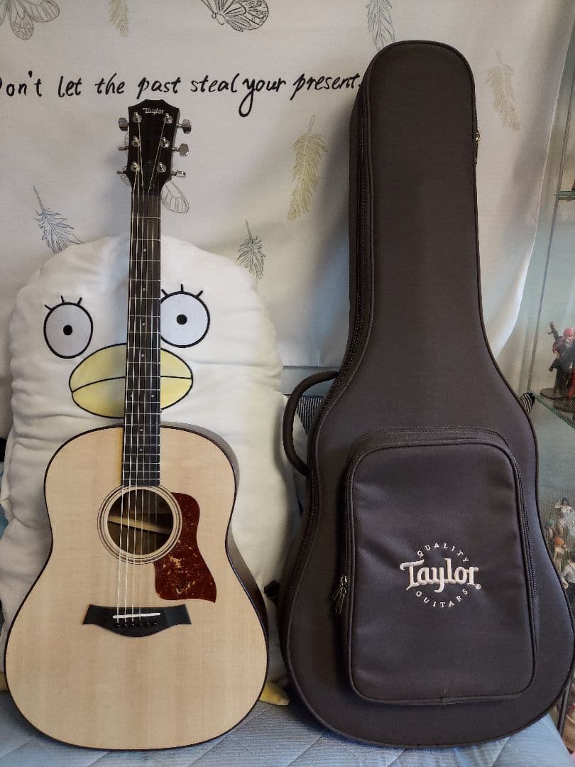 Taylor AD17 ナチュラル【American Dream】