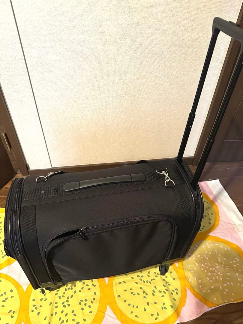 OFT ペット用キャリーバックL