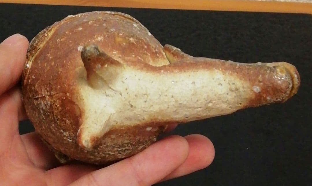 澤清嗣作　信楽焼　シカ　盃　ぐい呑　共箱　略歴付　酒器