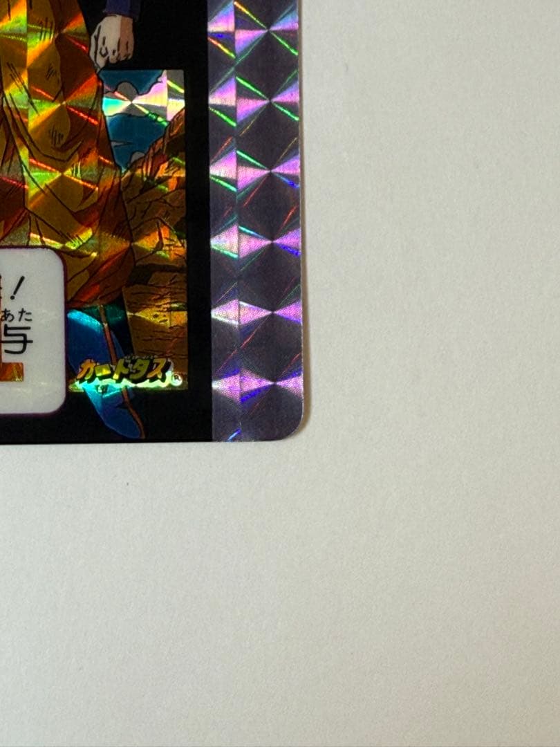 【正規品】ドラゴンボール めちゃんこプロジェクト No.2 限定 抽プレカード