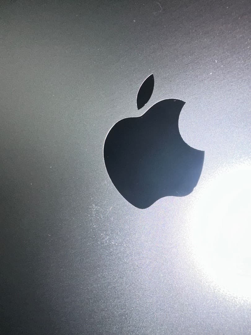 MacBook本体 Apple MacBook Pro 13 M2 2022 A2338