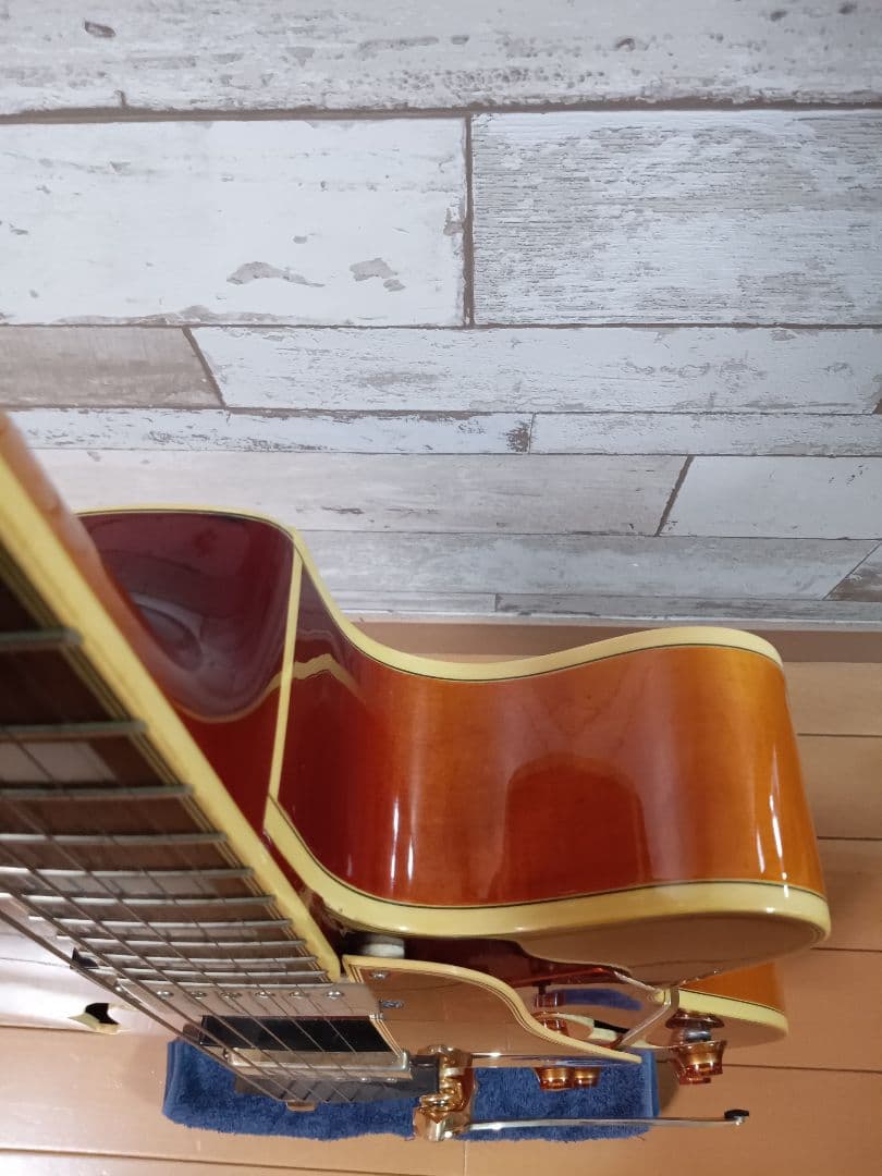 エピフォン フルアコ ジョーパス emperor II ビグスビー　ハードケース