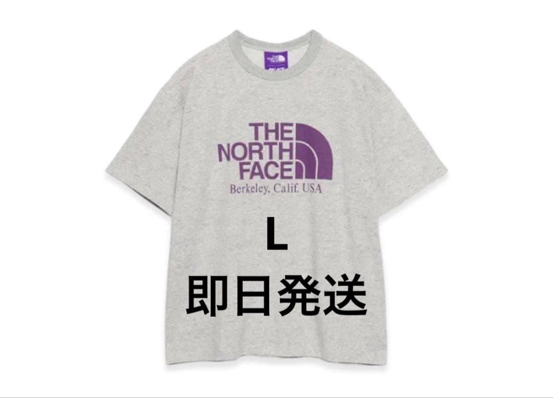 トップス PALACE The North Face Graphic Tee