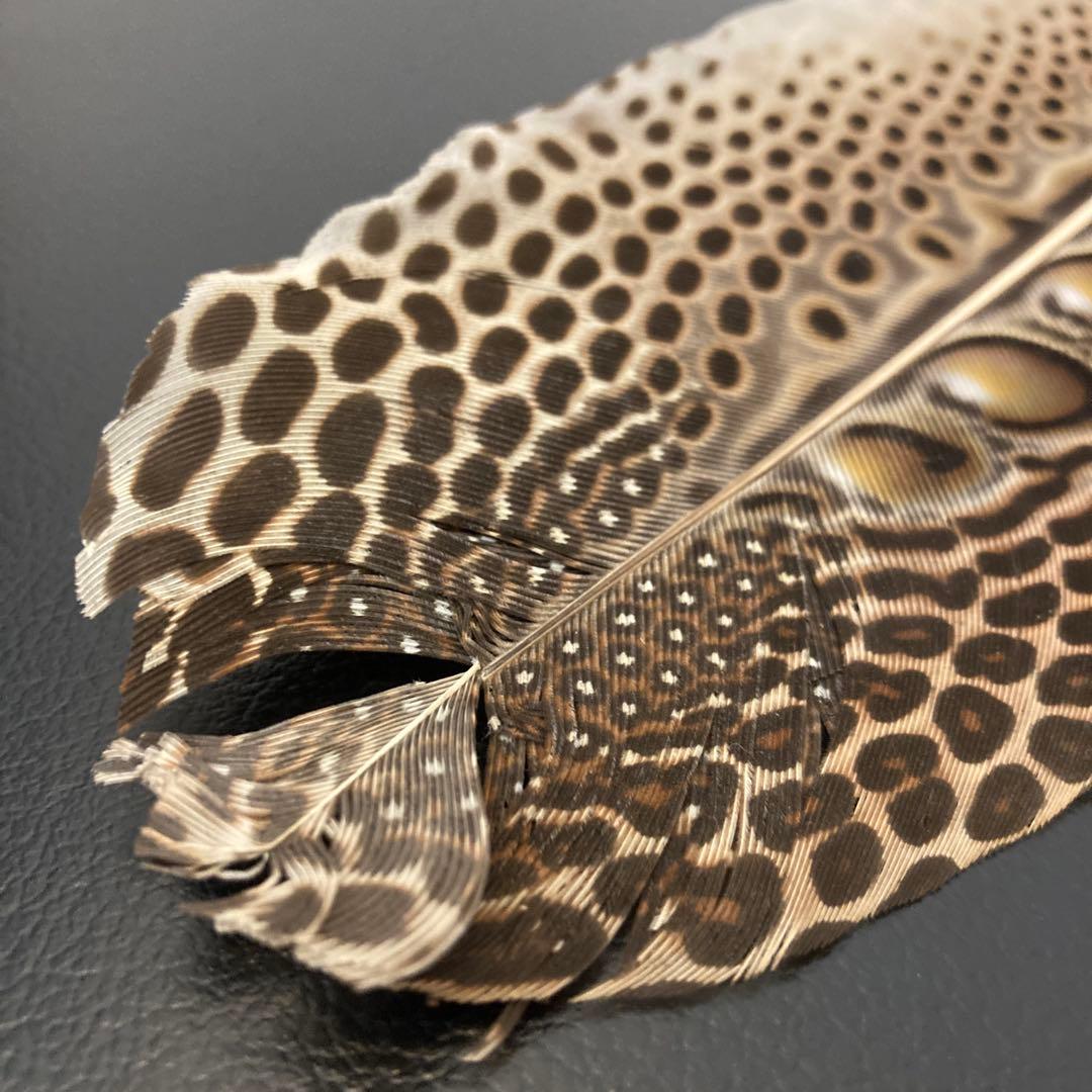 茶道具 羽箒　セイラン　青鸞　炭手前　工芸品