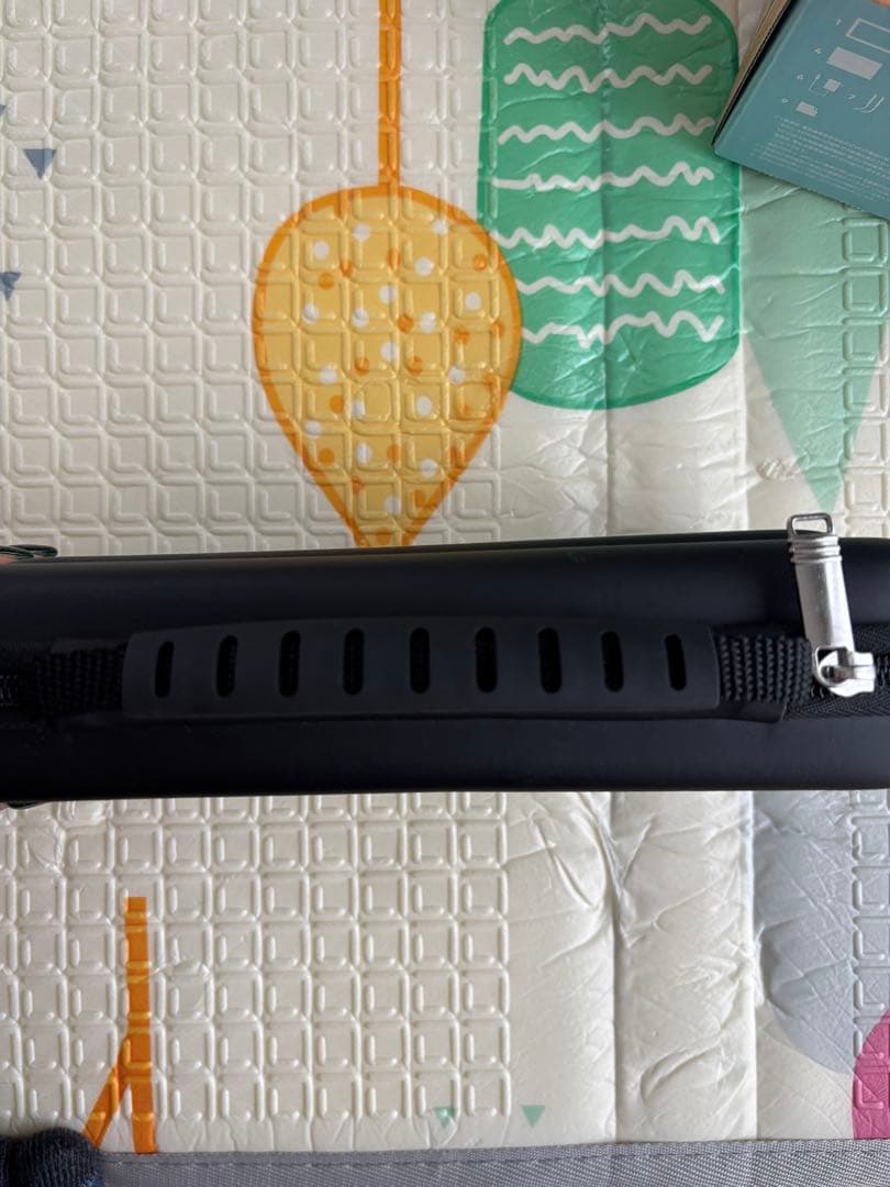 【限定品】Nintendo Switch 本体あつ森セット　保護ケース付き