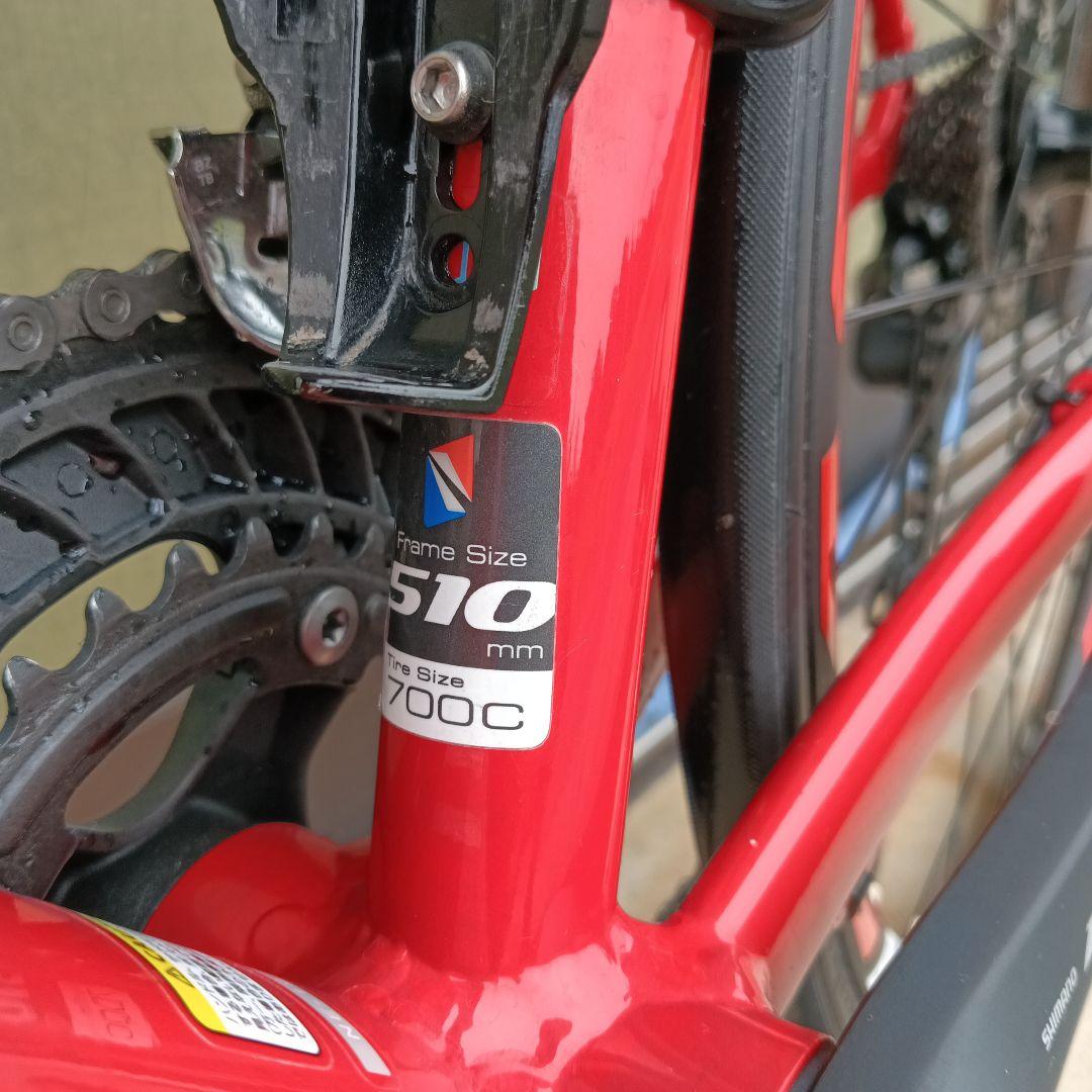 えびふらい NESTO ALTERNA DISC ネストオルタナディスク