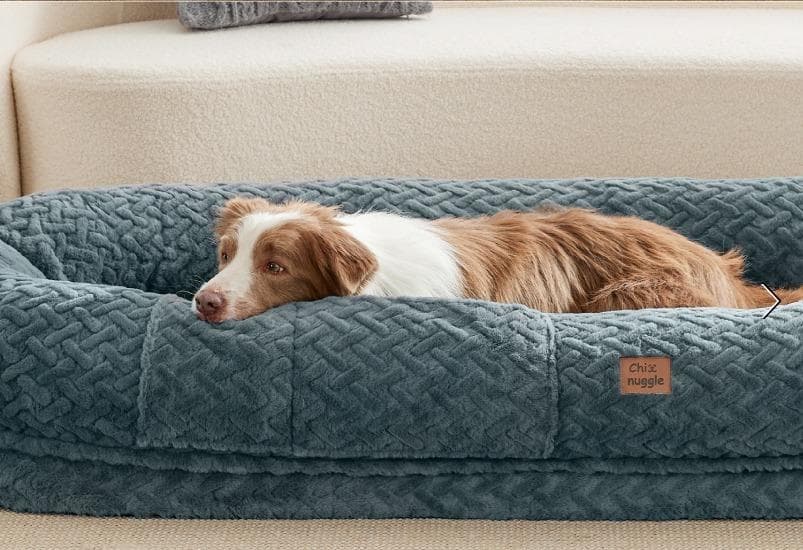 新品未使用★大型犬ヒューマンドッグベッド人間＆犬用ベッド 簡易ベッドにも