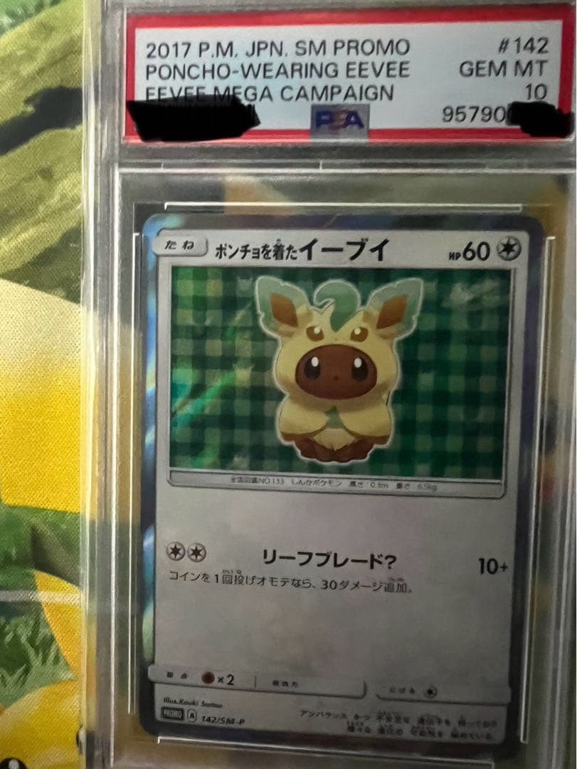 ポンチョを着たイーブイプロモPSA10