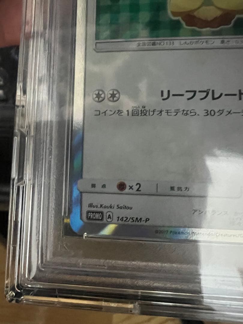 ポンチョを着たイーブイプロモPSA10