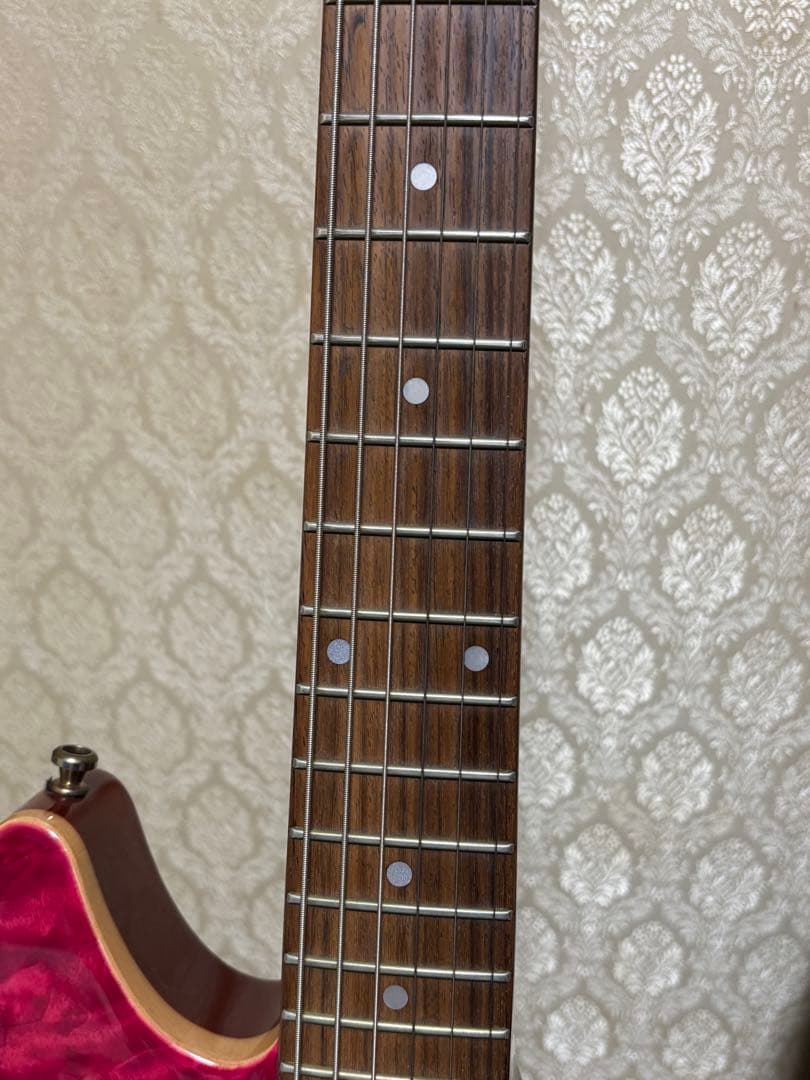 エドワーズ ポットベリー ドロップCチューニング仕様