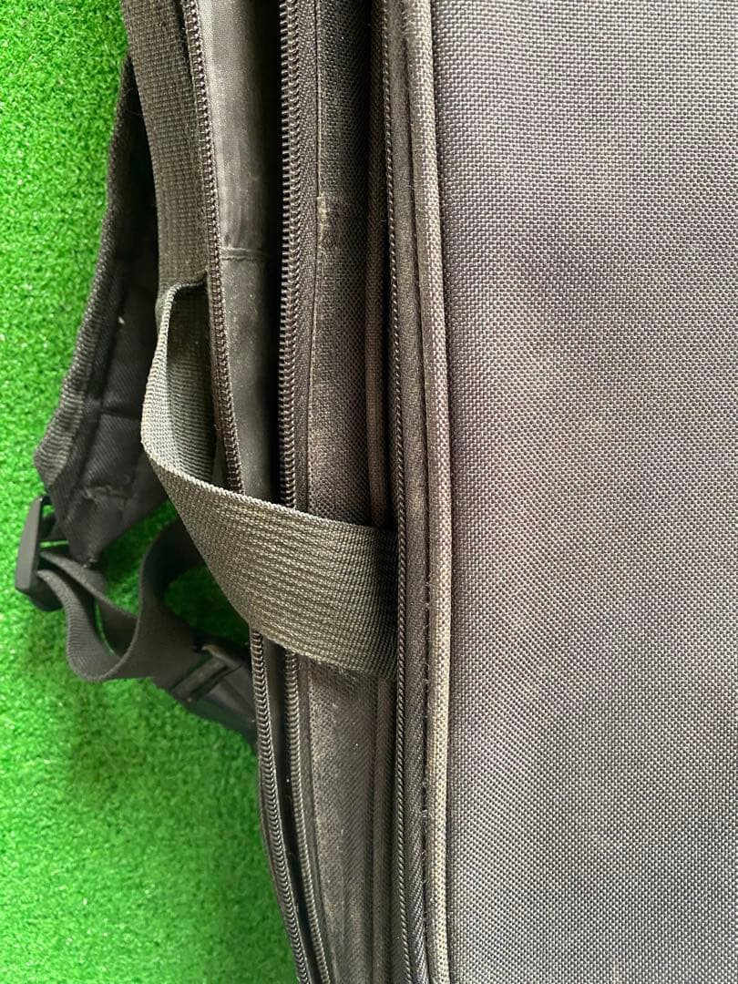 沖縄三線　蛇革　本革　ケース付き