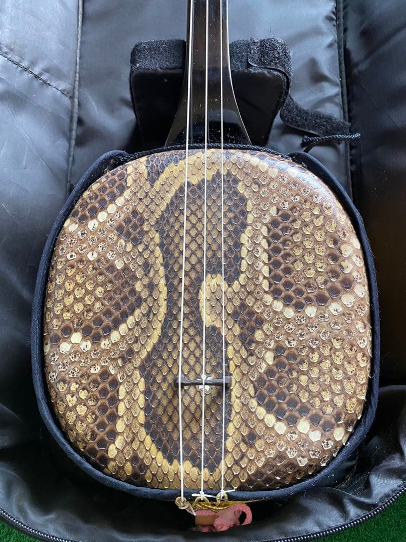 沖縄三線　蛇革　本革　ケース付き