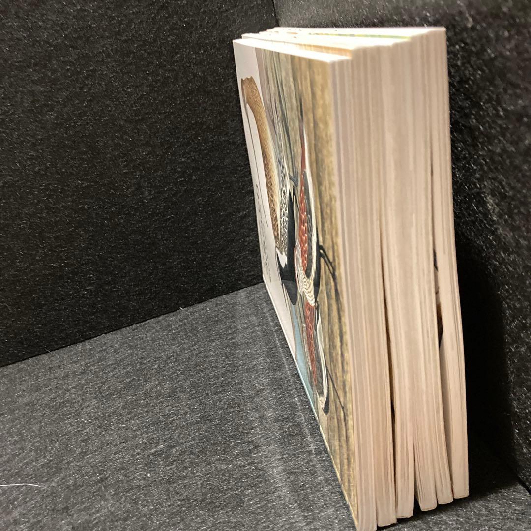 日本の野鳥セット　ペーパーブック版