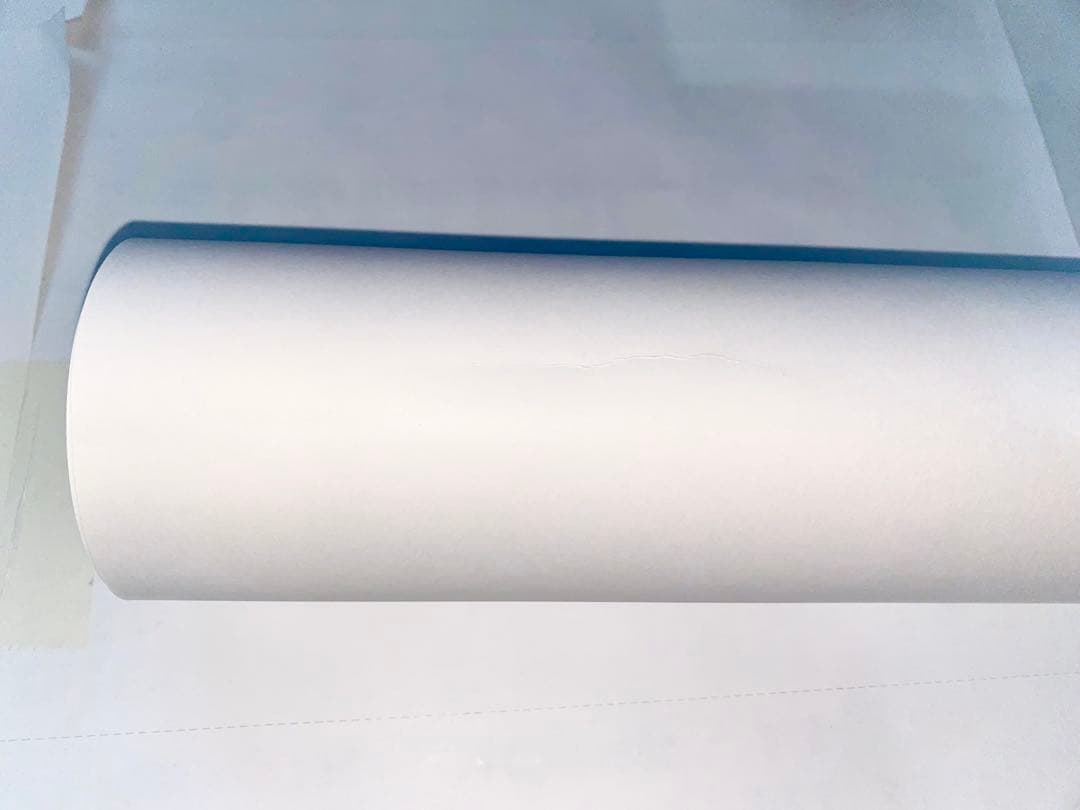 GUNS N' ROSES 2017 埼玉限定リトグラフ ポスター ナンバー入り