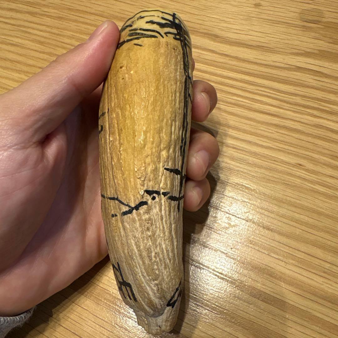 マッコウクジラの歯 382g 鯨牙 鯨歯 歯牙 天然素材 歯 印材