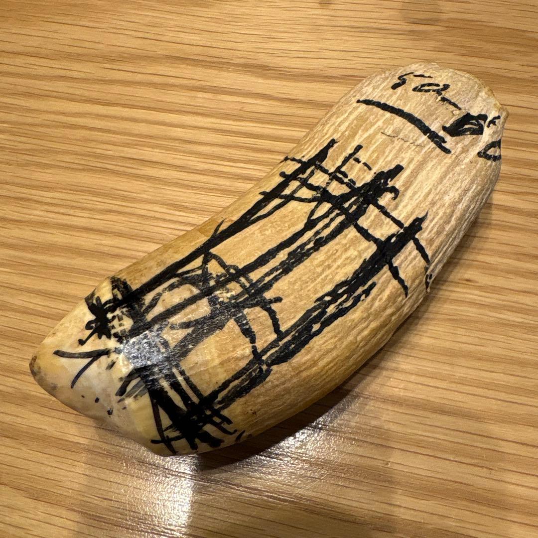 マッコウクジラの歯 382g 鯨牙 鯨歯 歯牙 天然素材 歯 印材