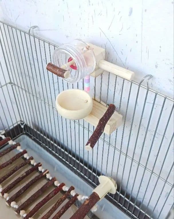 a11　くるくるフォージントイセット　バードトイ　難易度高め⭐⭐　止まり木