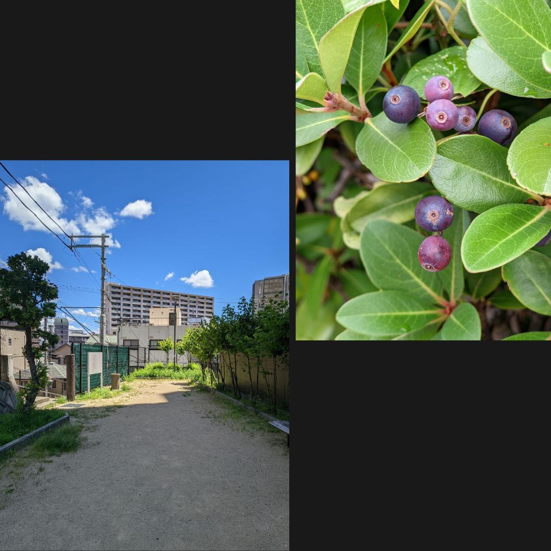 らま Motorola S50 12+256 軽量コンパクト 4眼カメラ