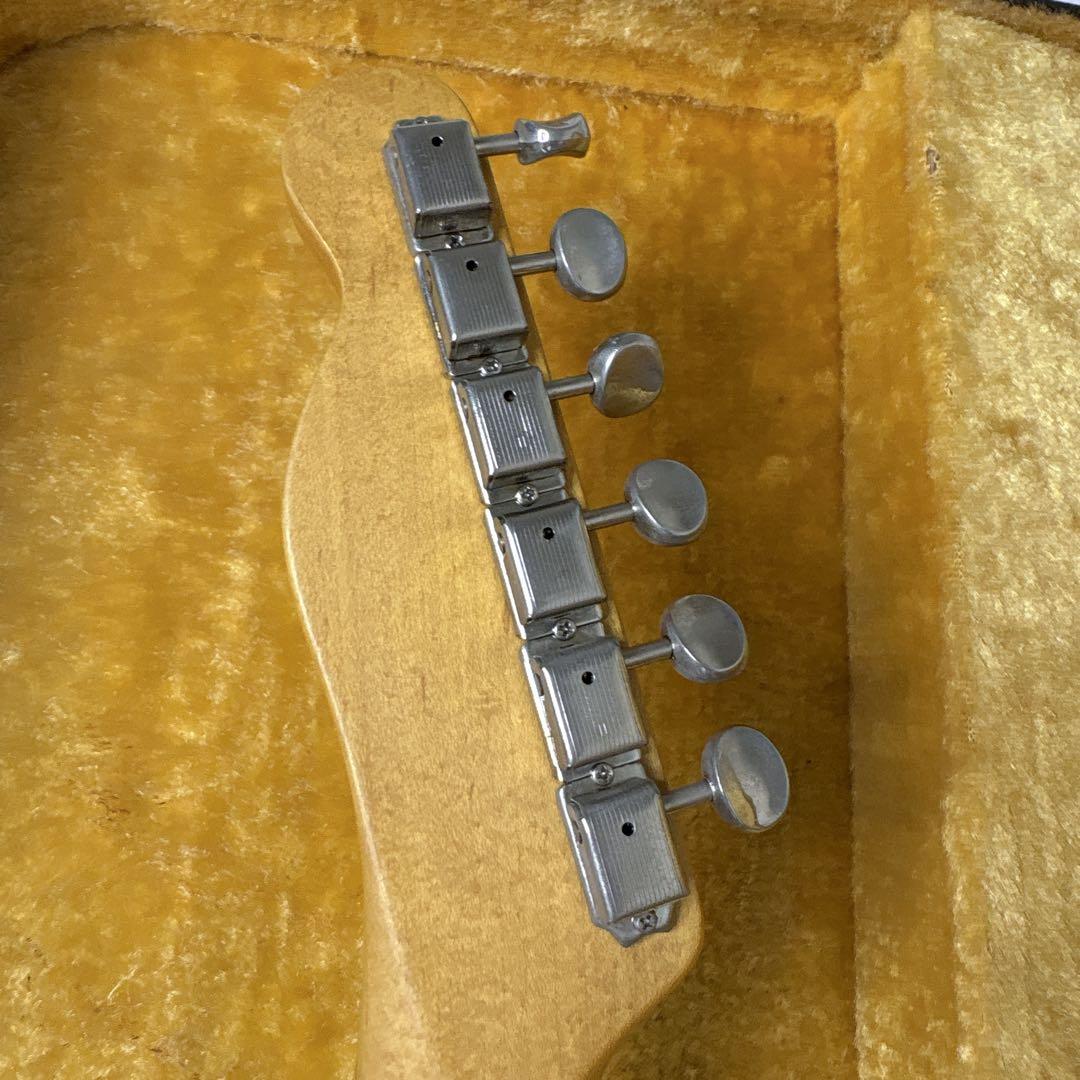 フォトジェニック　テレキャスタータイプ