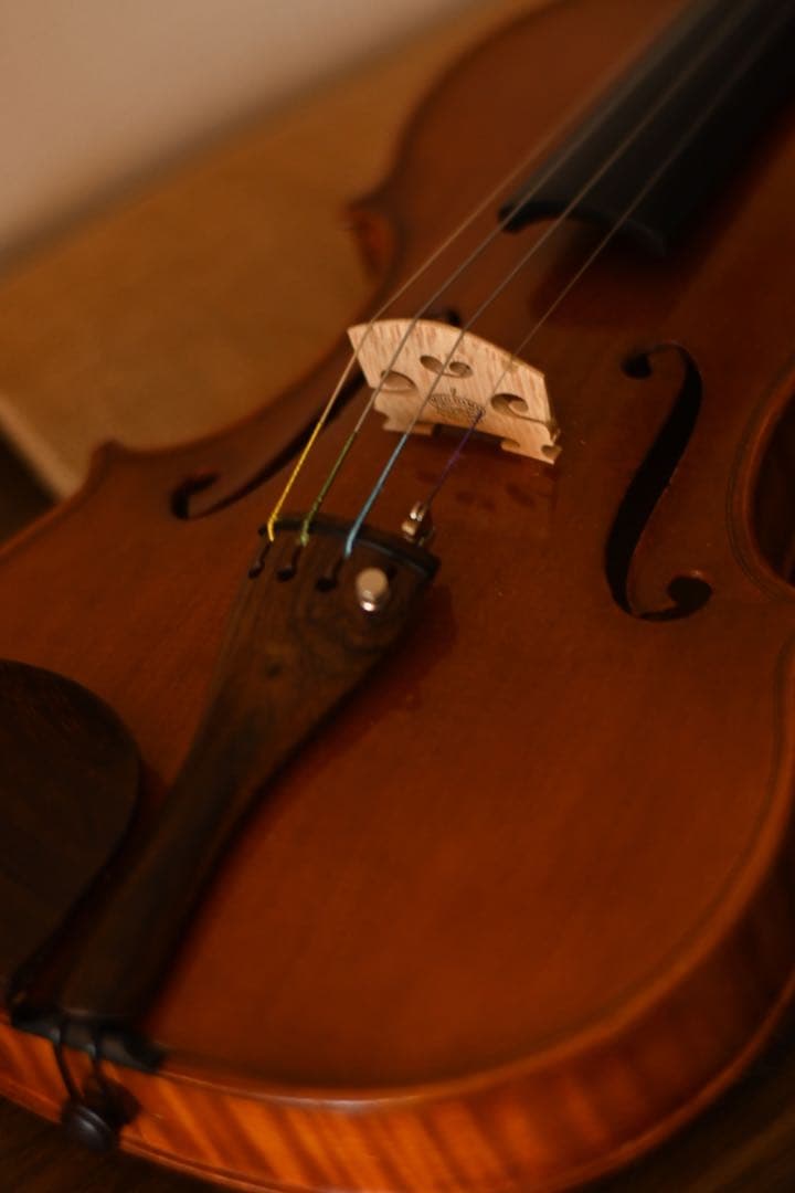 バイオリン4/4 ドイツ製Erich Werner エーリヒ・ヴェルナー1986