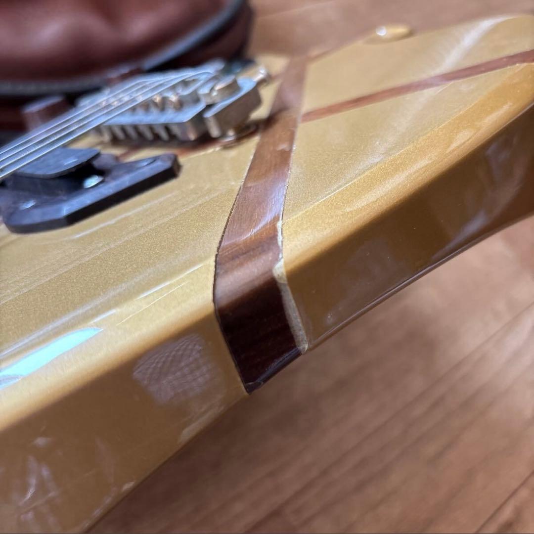 アンダーソン アップルギター