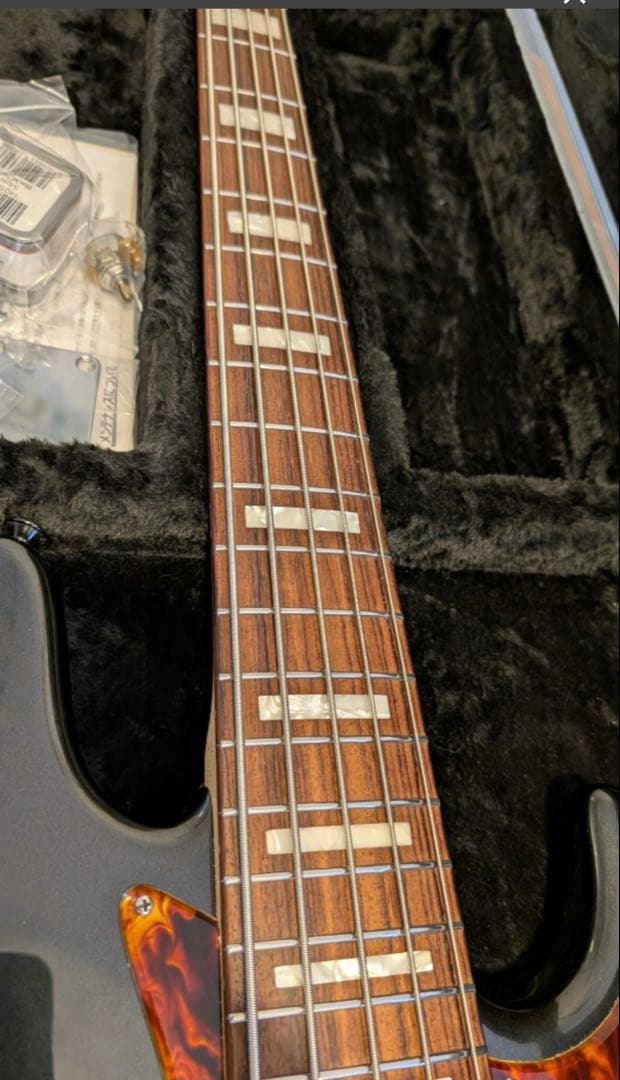 ベース FREEDOM CUSTOM GUITAR RESEARCH JB 5st