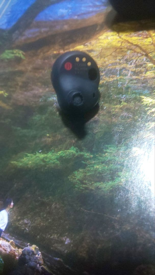 年末限定価格　ケース イヤホン両方バッテリー新品交換　wf-1000xm4おまけ