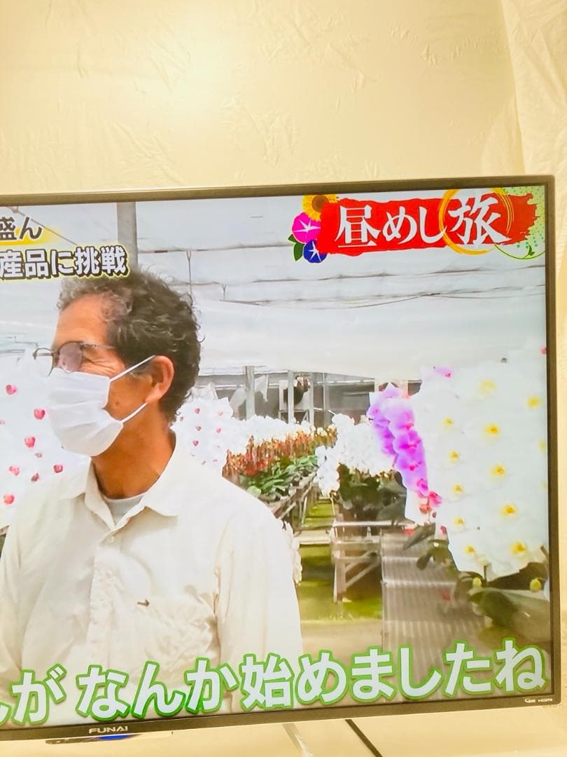 フナイ 49V型 4K 液晶テレビ ハードディスク内蔵 FL-49UD4100