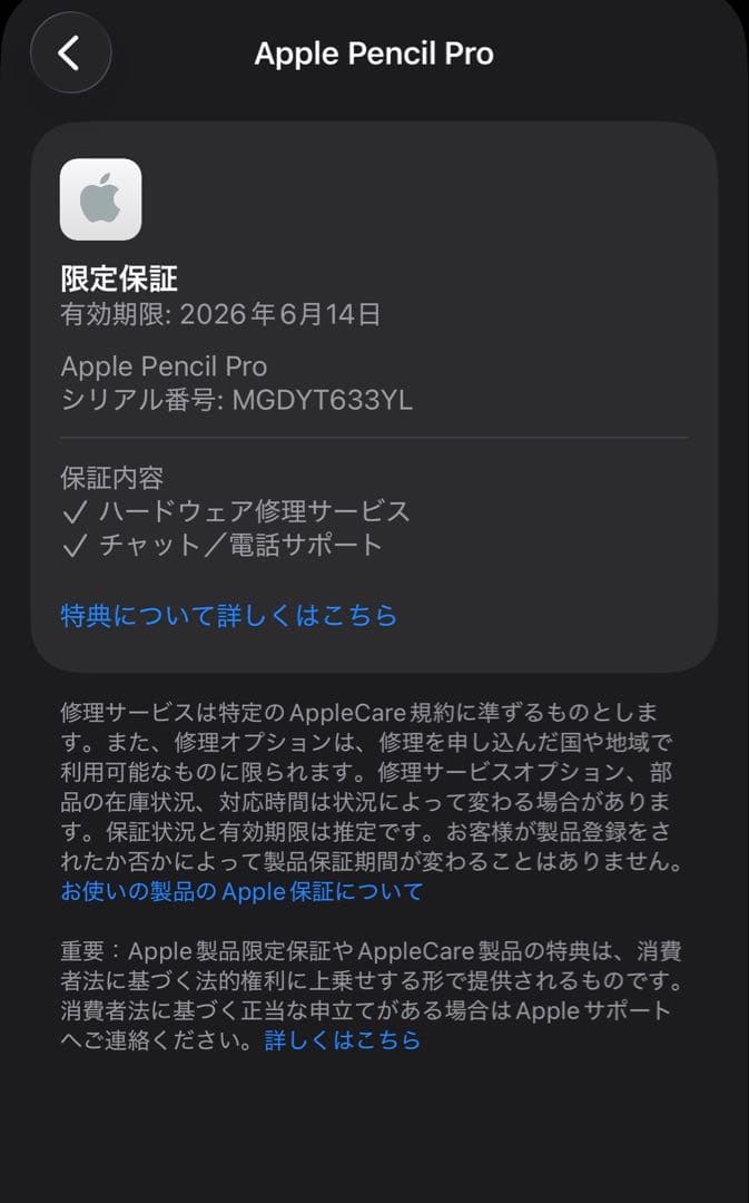 美品　Apple保証付き　2025年6月購入品　Apple Pencil Pro