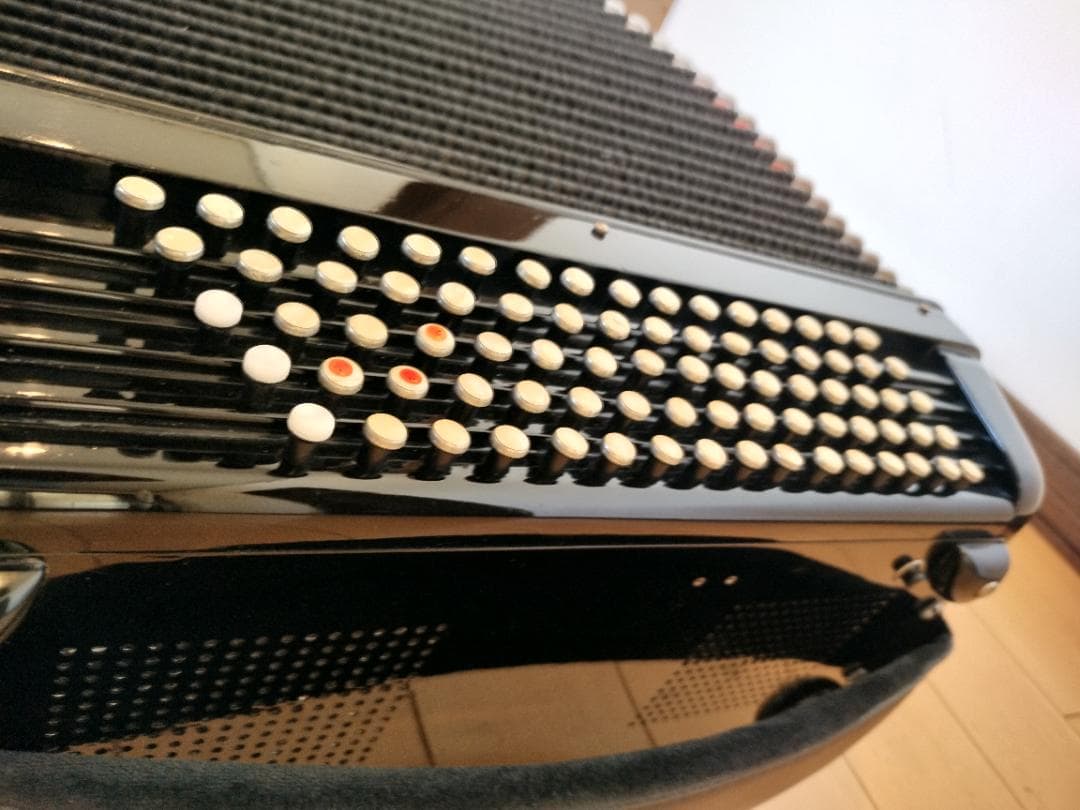 ⭐︎イタリア製⭐︎SCANDALLI ボタン式アコーディオン ソフトケース付