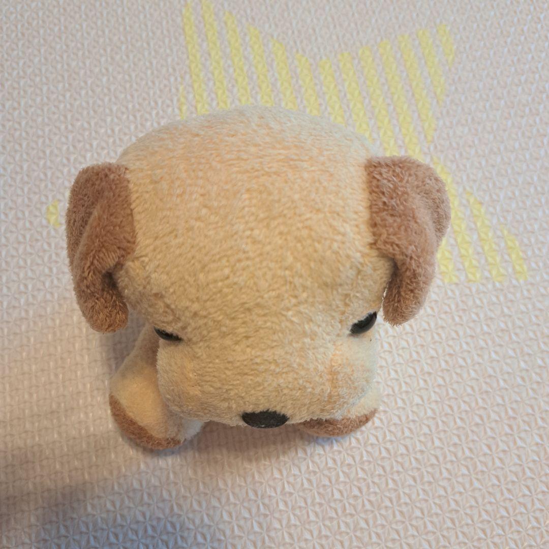 shnada nao's staff 犬型ぬいぐるみ ベージュ シナダ　いぬ