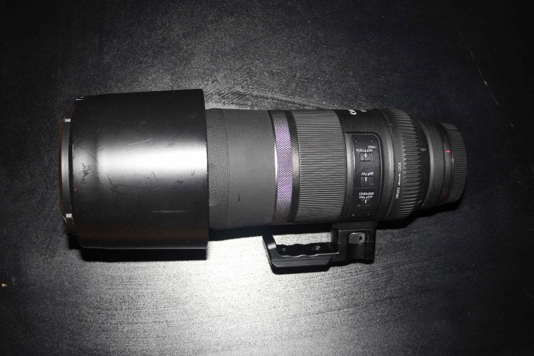 キヤノン RF800mm F11 IS STM