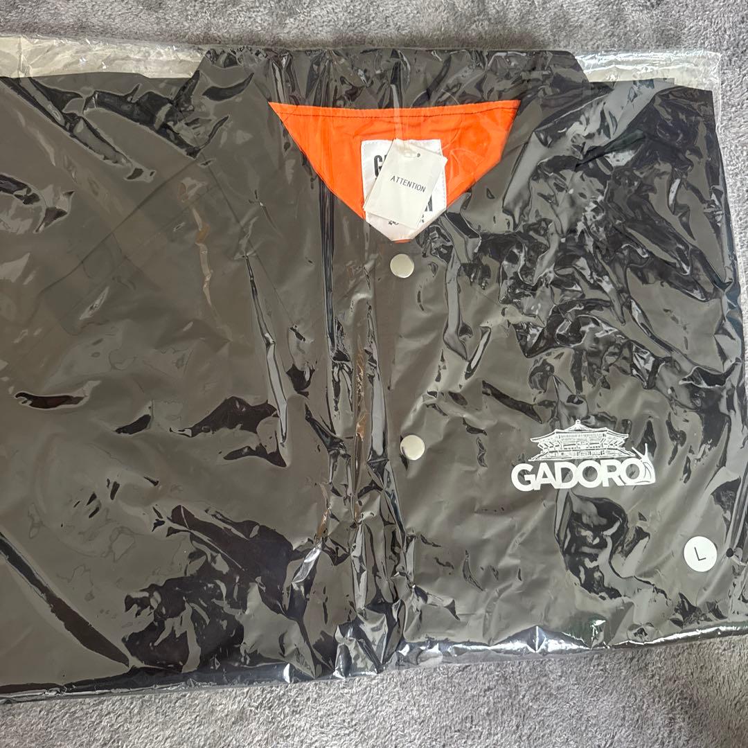 ミュージシャン GADORO