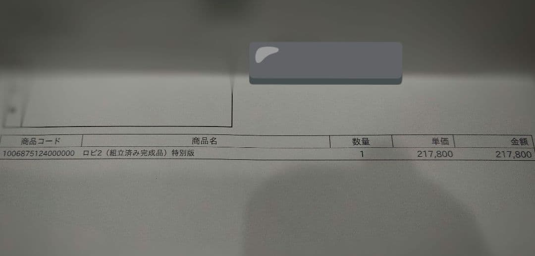 〓新品同様〓 ロビ2 (組み立て完成品) 特別版 Robi2