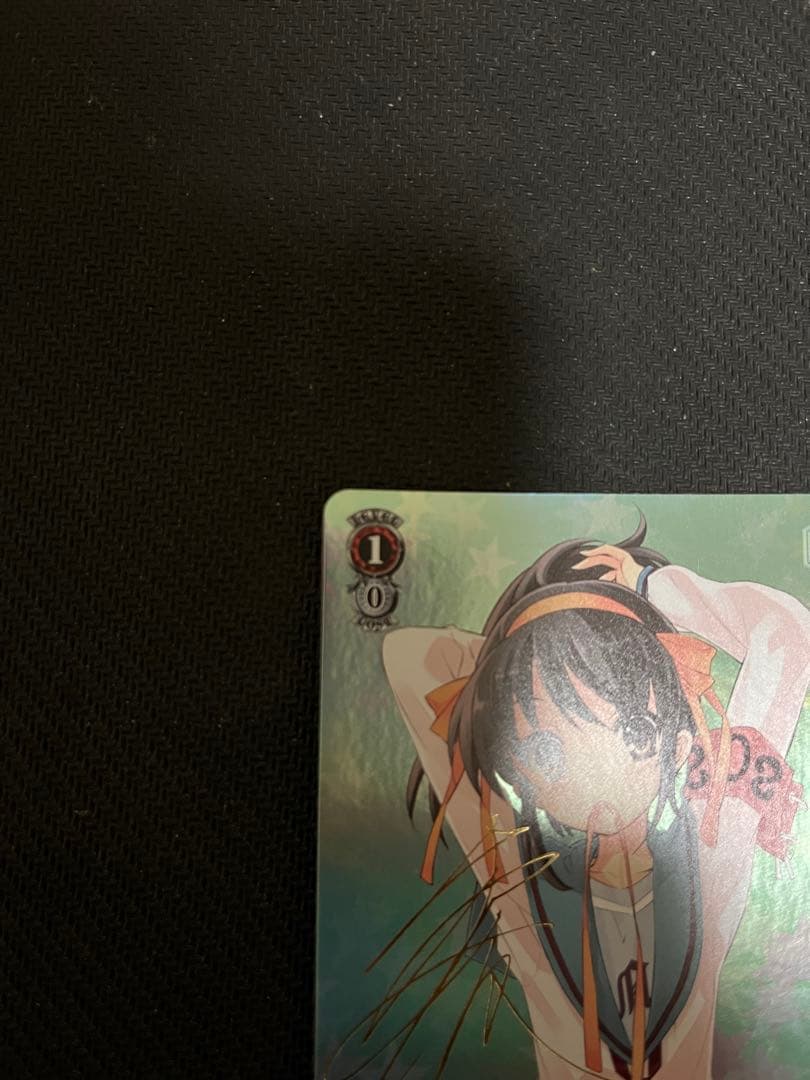 いつものハルヒ　SP ヴァイスシュバルツ　平野綾　サイン　涼宮ハルヒの憂鬱