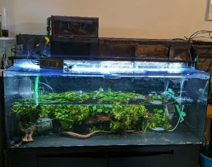 綺麗な1200×450×450　4面ブラックアクリル水槽 フルセットです！！