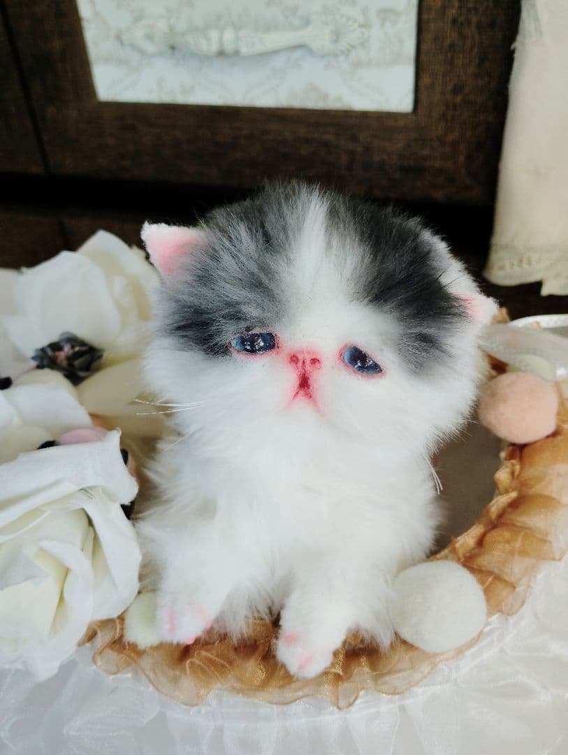 子猫あずきちゃん❤ころころぽっちゃりちゃん♡カゴセット♡アートドール♡ぬいぐるみ