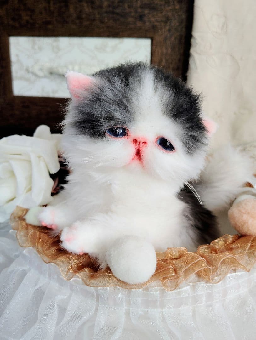 子猫あずきちゃん❤ころころぽっちゃりちゃん♡カゴセット♡アートドール♡ぬいぐるみ