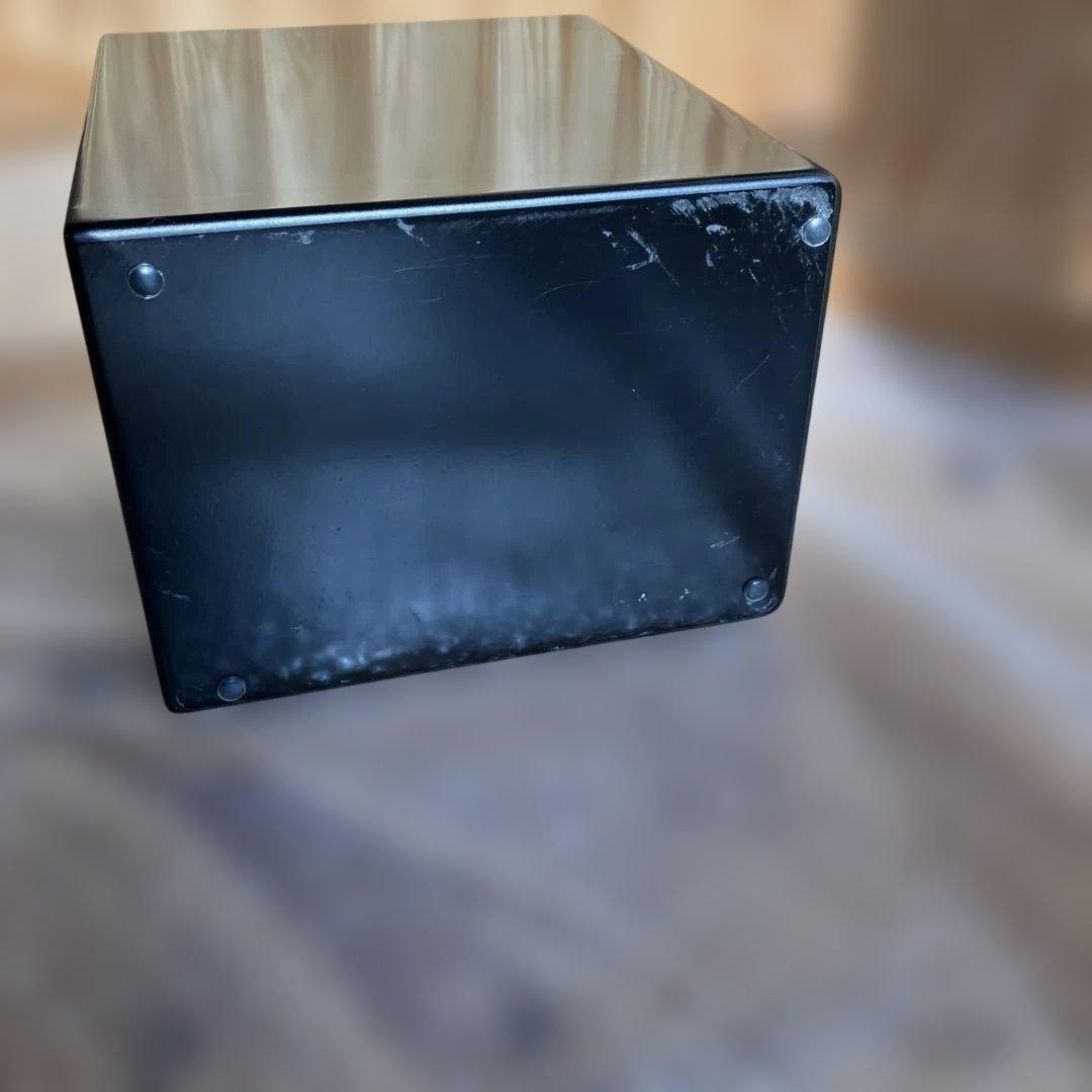 PARC Audio（パークオーディオ）ブラック・スペシャル塗装、ウッドコーン